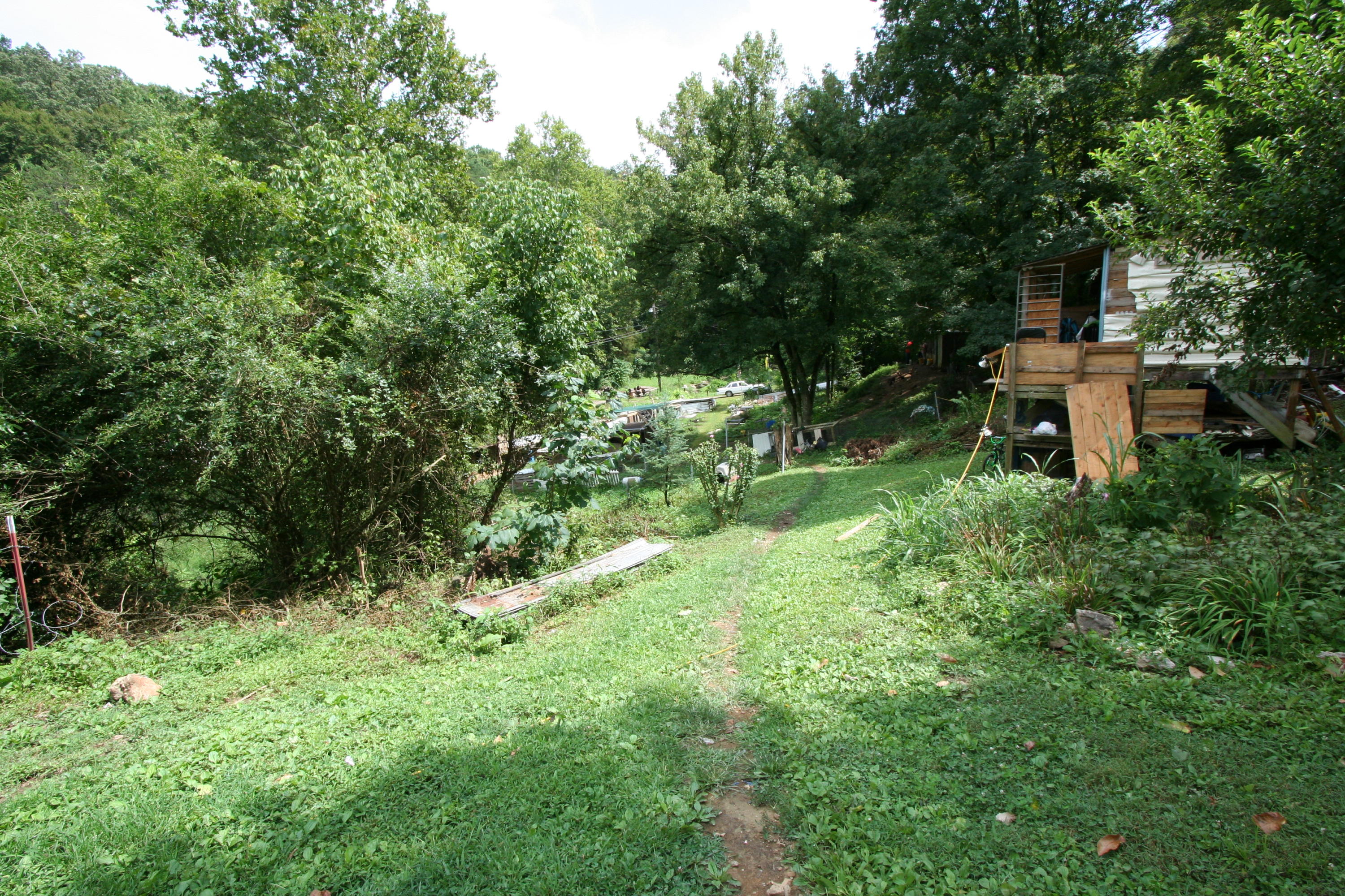 205 Wolfe Road Luttrell, TN 37779 - Photo 36 of 40 Real Estate...205 Wolfe Rd (46)
