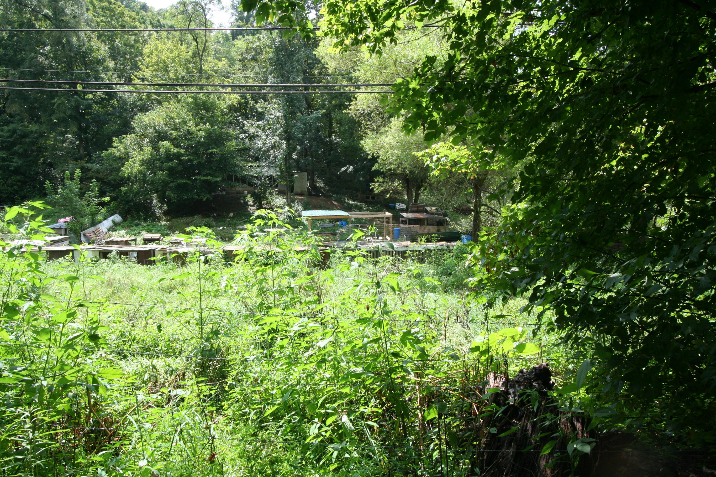 205 Wolfe Road Luttrell, TN 37779 - Photo 6 of 40 Real Estate...205 Wolfe Rd (14)