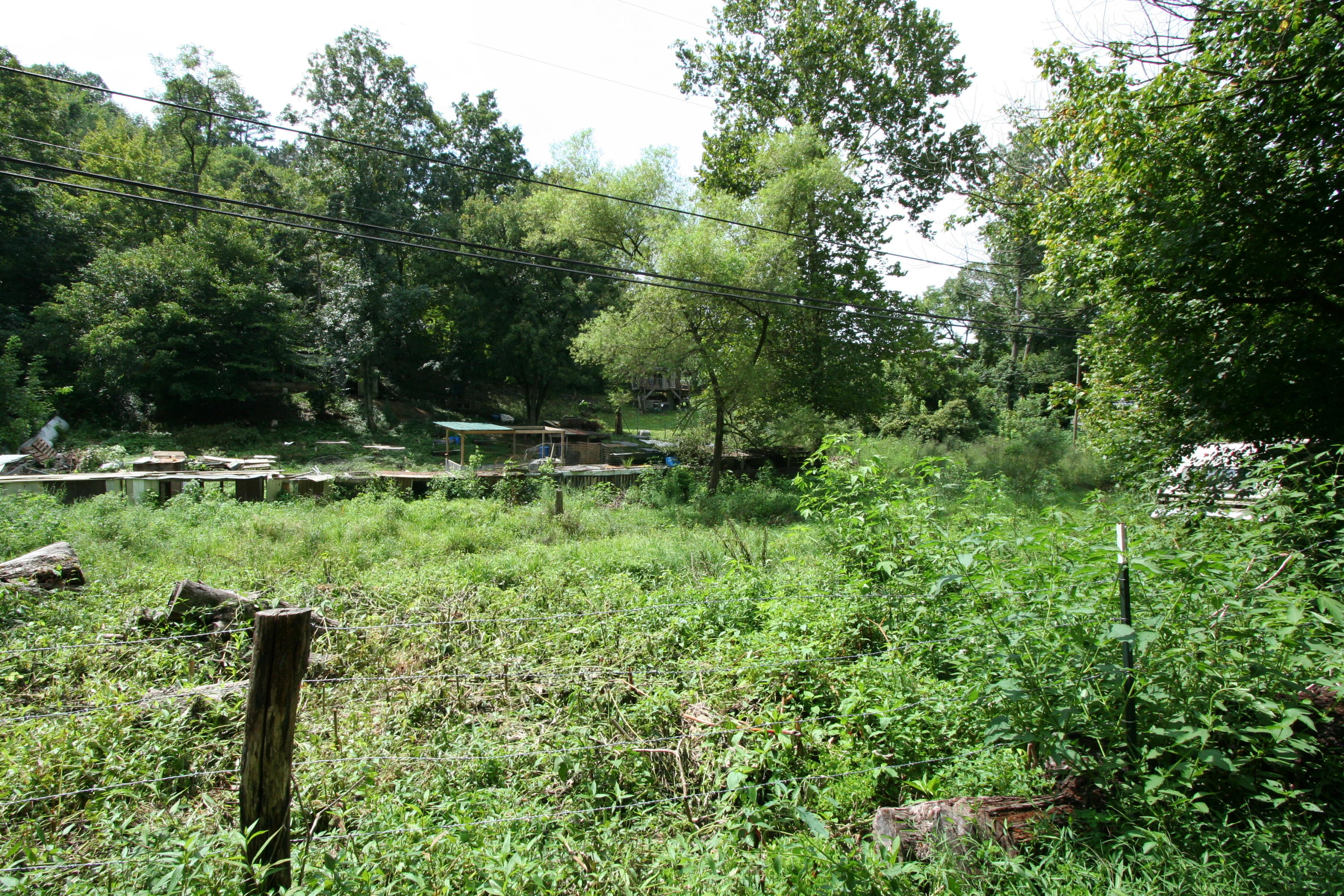 205 Wolfe Road Luttrell, TN 37779 - Photo 7 of 40 Real Estate...205 Wolfe Rd (15)