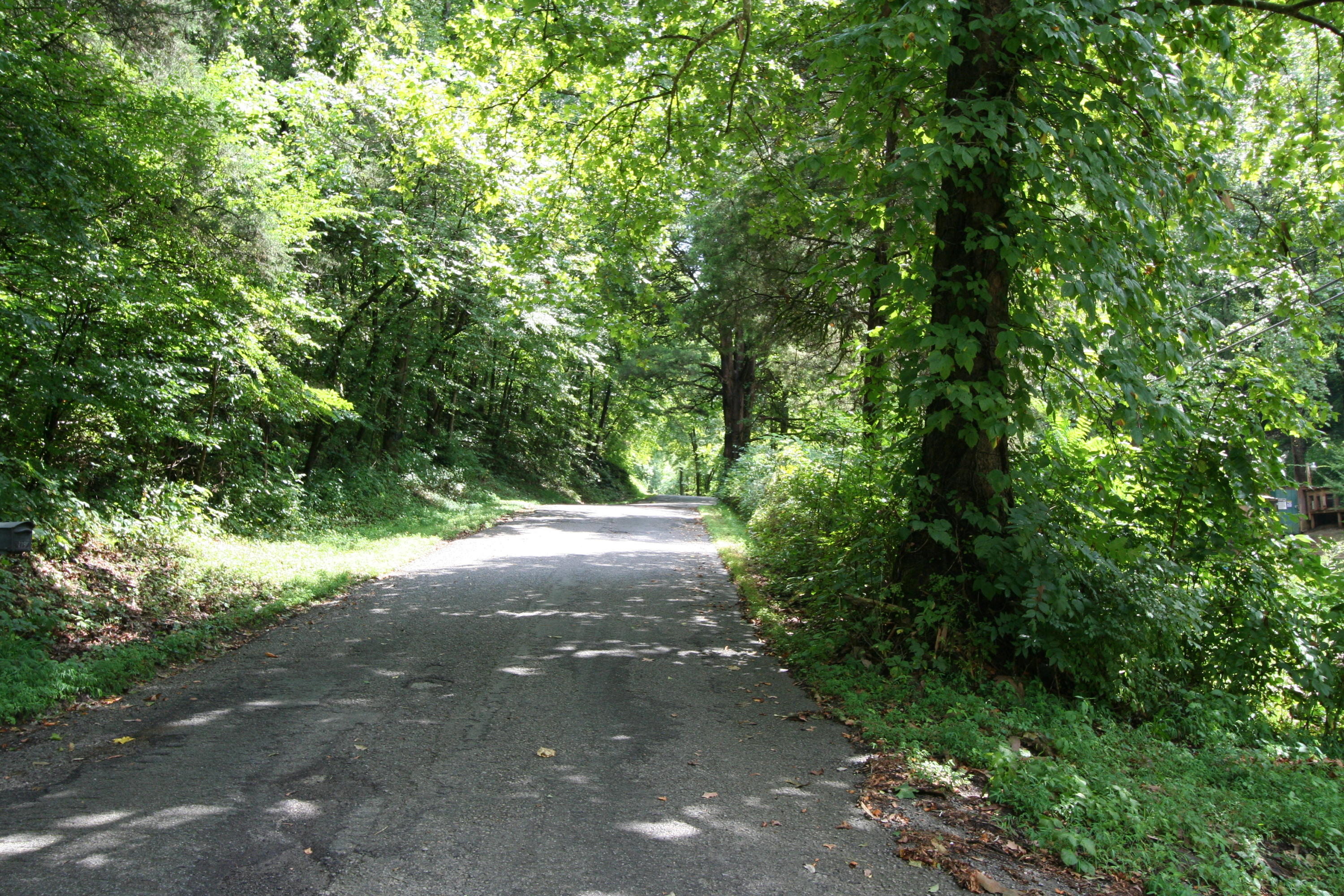 205 Wolfe Road Luttrell, TN 37779 - Photo 9 of 40 Real Estate...205 Wolfe Rd (17)