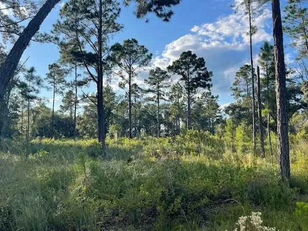 $869,900 | 2114 Mill Creek Road, Patterson, GA 31557
