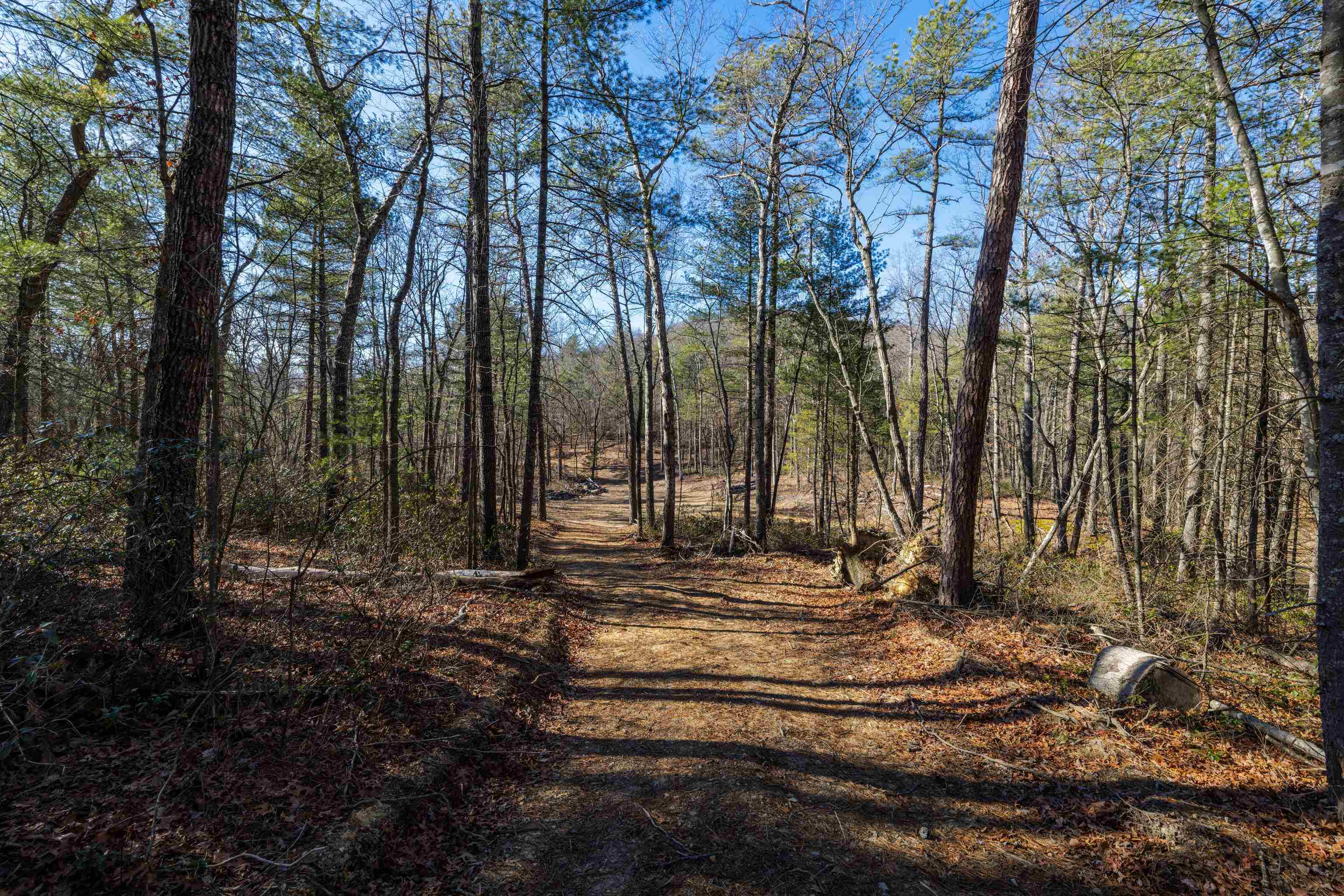 24.97-ac Stribling Springs Road Mount Solon, VA 22843 - Photo 7 of 34 a view of street with trees