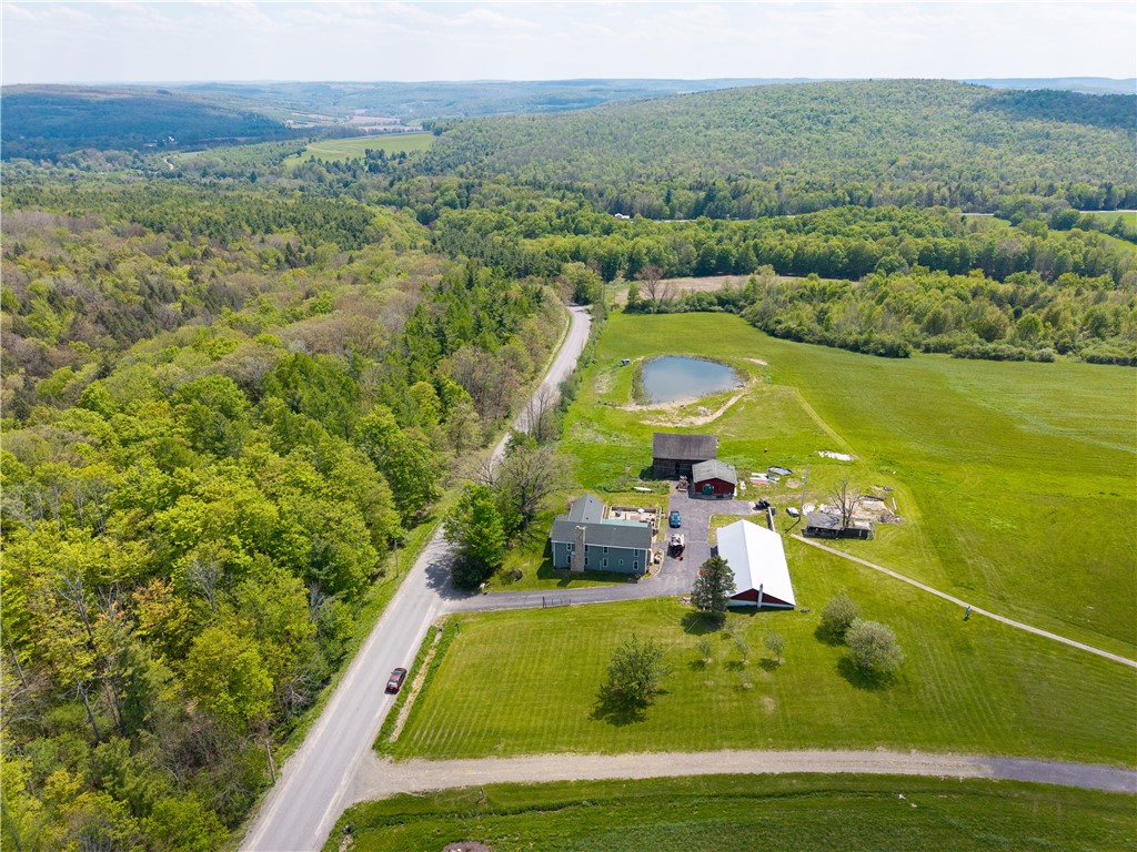 11288 Scott Hill Road Dansville, NY 14437 - Photo 45 of 46