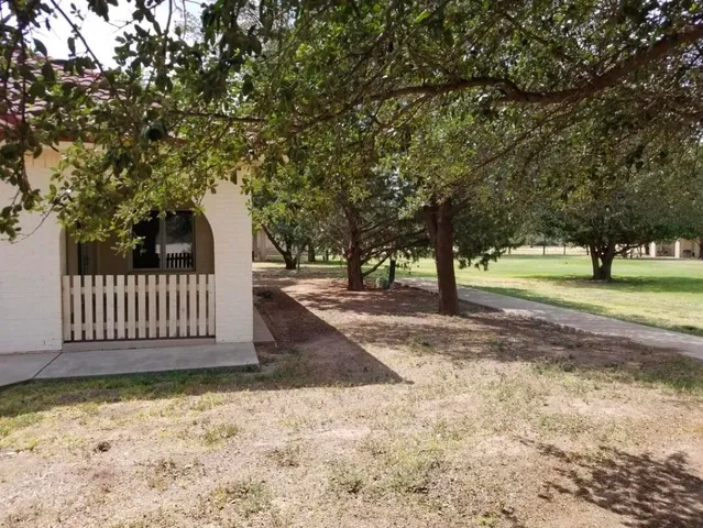 a view of a yard with large trees and wooden fence