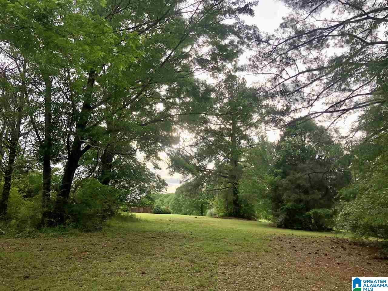 0 Carleton Point Drive, Unit 4 Wilsonville, AL 35186 - Photo 3 of 6