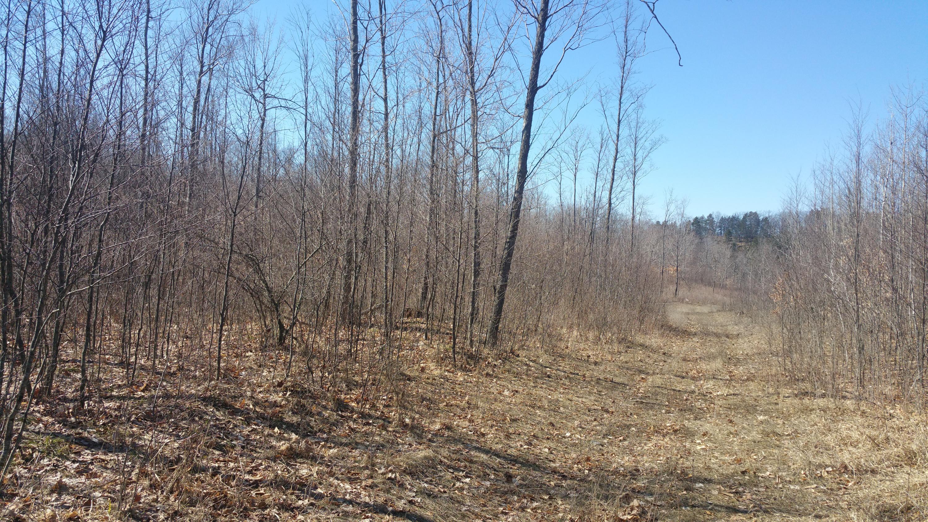 Off Of Tower Road Curran, MI 48728 - Photo 5 of 9 Gallery Image 5
