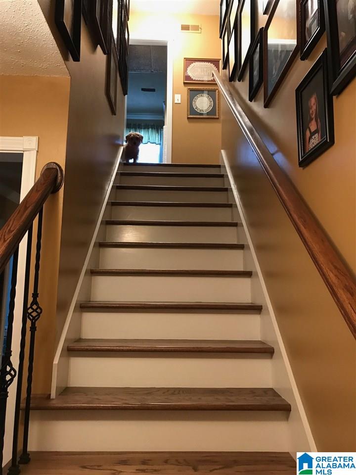 66 Oak Lane Oneonta, AL 35121 - Photo 11 of 21