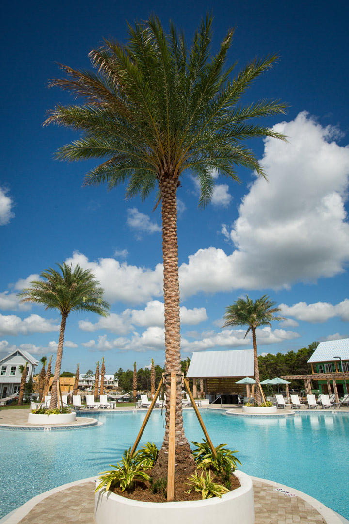 24 York Ln Inlet Beach, Unit C286 Inlet Beach, FL 32461 - Photo 32 of 33