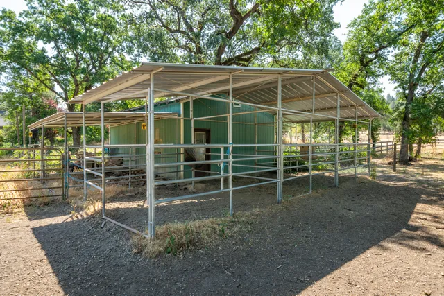 a view of a yard with a tree