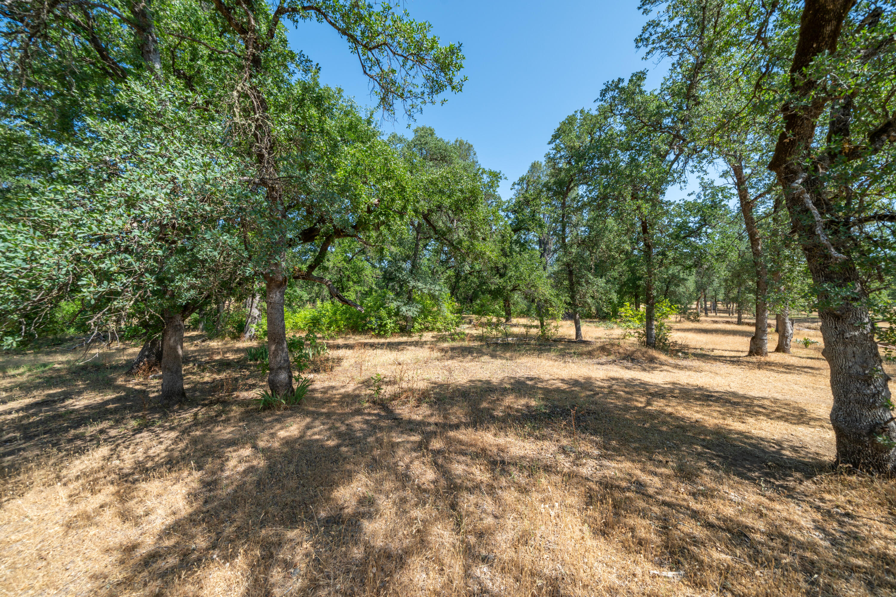 10855 Beaver Road Oak Run, CA 96069 - Photo 66 of 71 10855 Beaver Rd-79