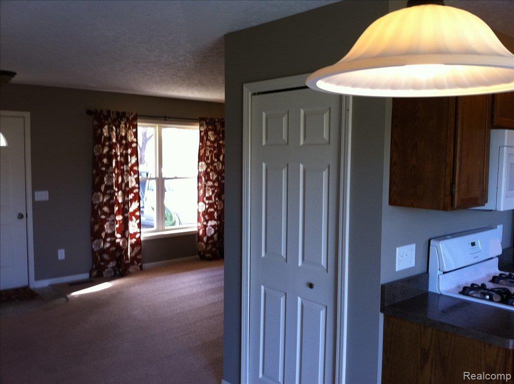 4592 Pingree Road Howell, MI 48843 - Photo 17 of 21 Pingree Pics 013