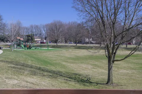 a view of a trees in a yard