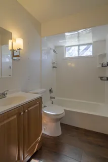 a bathroom with a sink a toilet and shower