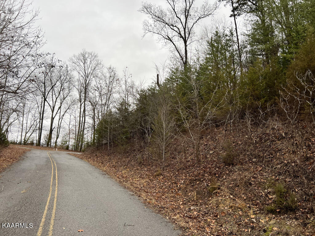 738 Russell Road Sharps Chapel, TN 37866 - Photo 51 of 52 L738 Russell Br, Sunset Bay, Norris Lake