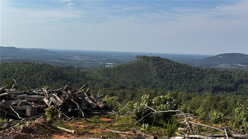 Tbd Hose Road Moravian Falls, NC 28654 - Photo 9 of 20