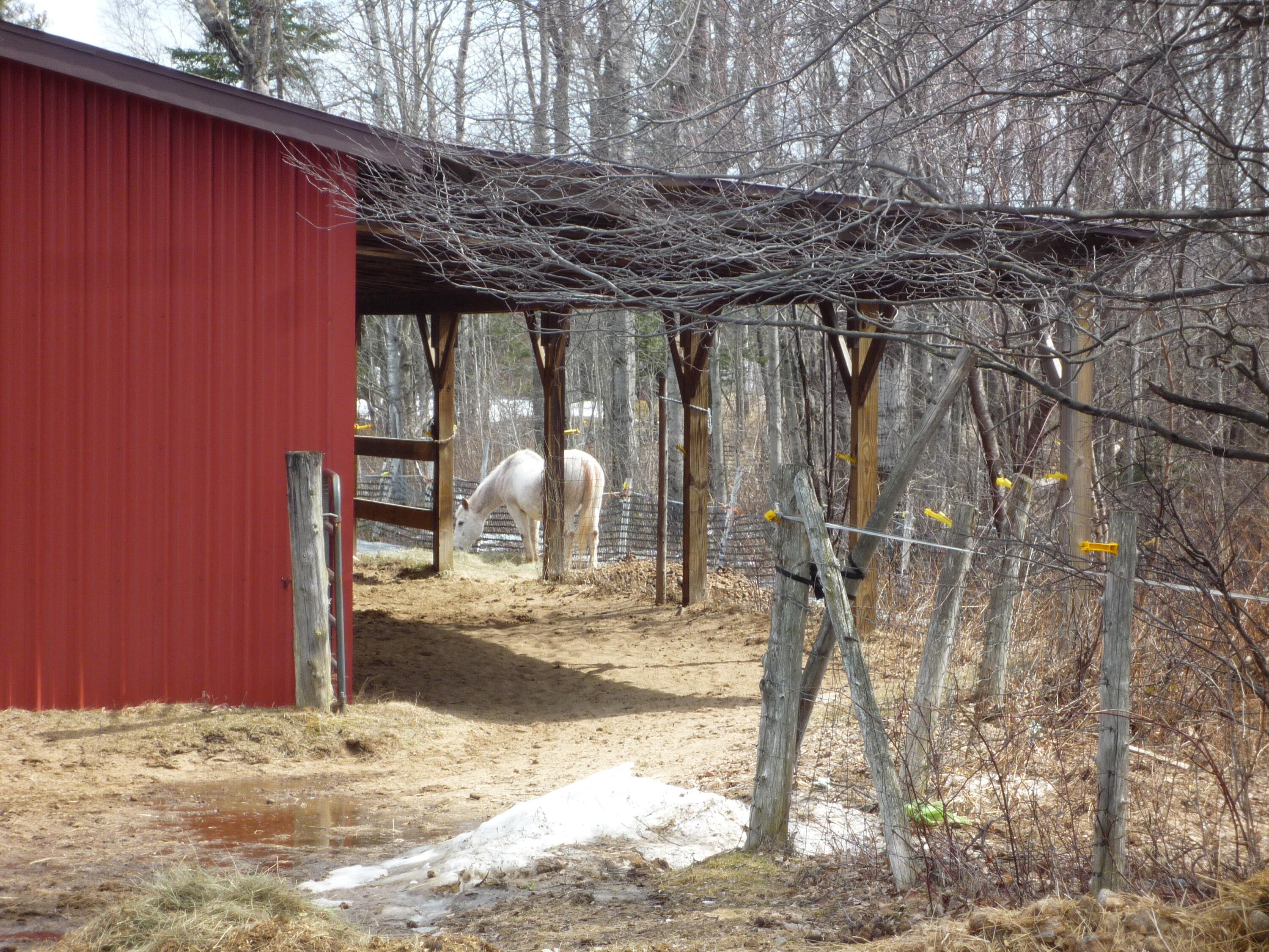 4951 State Rte 3 Saranac, NY 12981 - Photo 45 of 76 P1060513