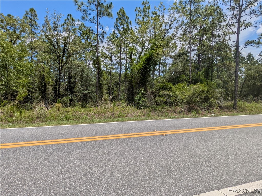 0 Northwest Ridgewood Road Dunnellon, FL 34431 - Photo 11 of 13