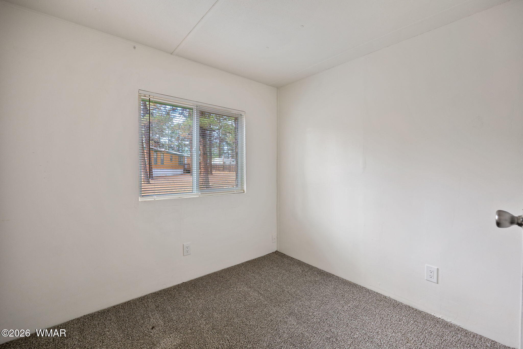 2175 Ruby Overgaard, AZ 85933 - Photo 18 of 24