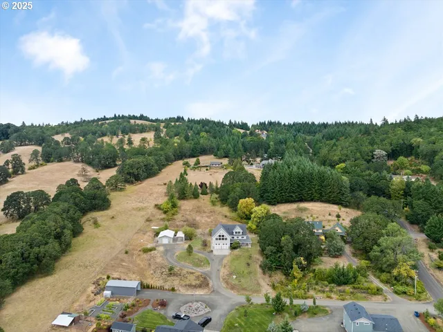 an aerial view of a house with a mountain