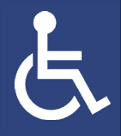 a view of staircase with a potted plant