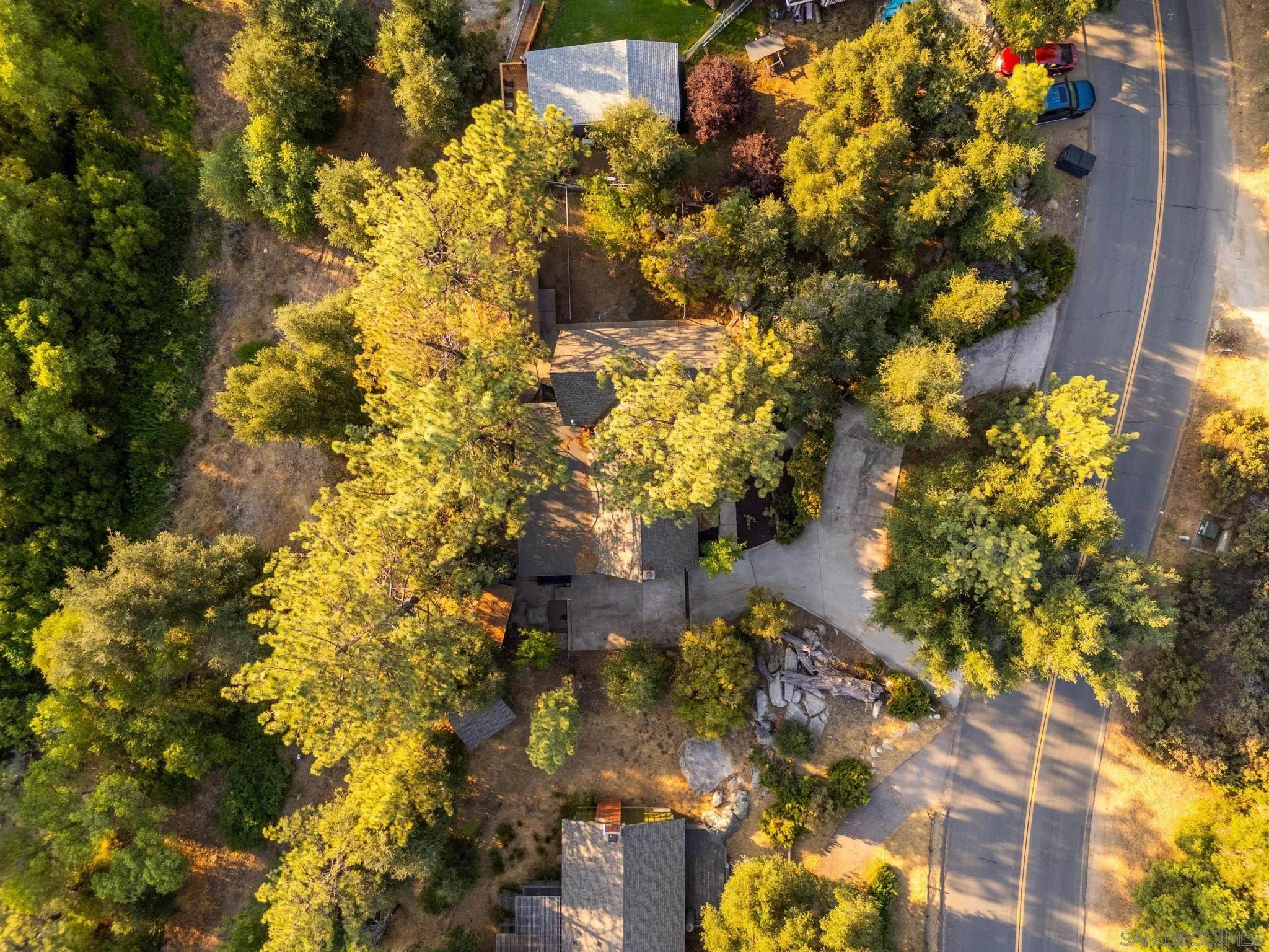8648 Valley View Trail Pine Valley, CA 91962 - Photo 32 of 50 a picture of flowers