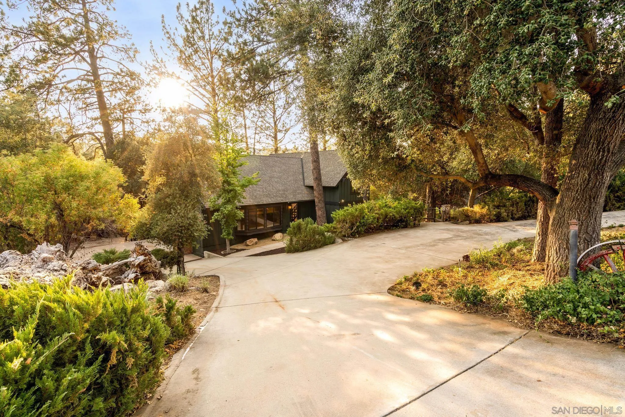 8648 Valley View Trail Pine Valley, CA 91962 - Photo 39 of 50 a view of a yard with trees