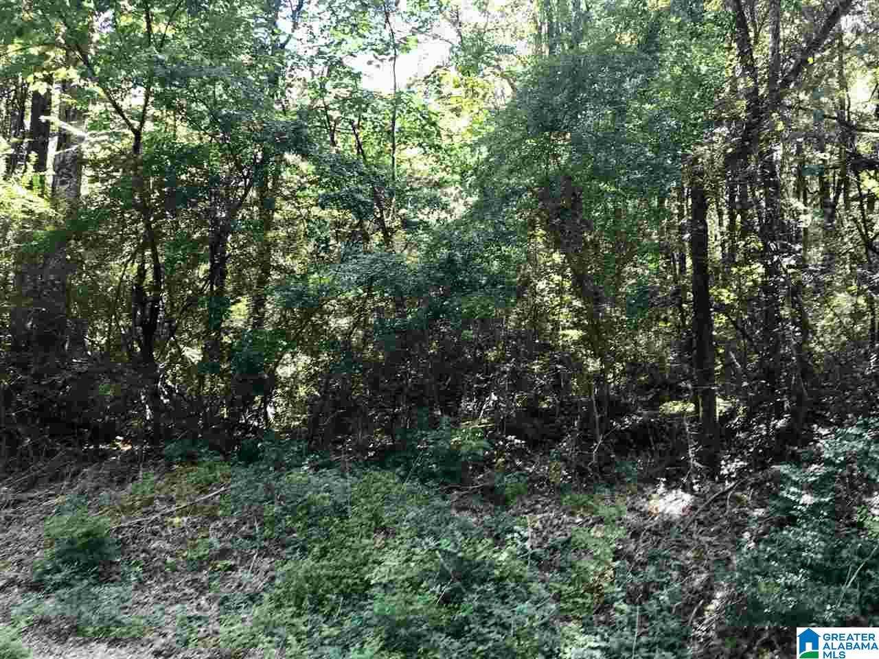 0 Davis Acres Drive, Unit 18 Alpine, AL 35014 - Photo 10 of 11