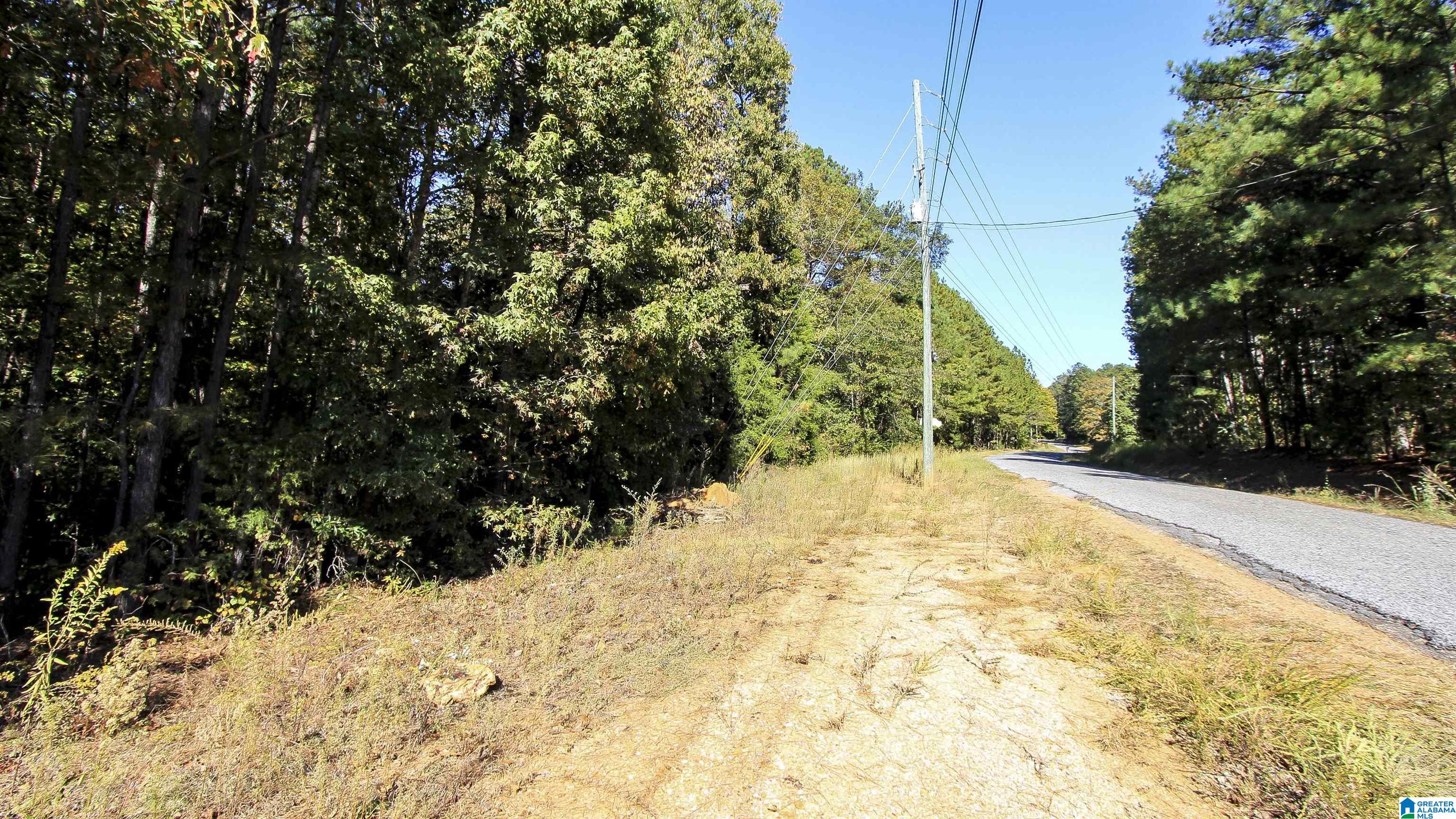 0 Refuge Road, Unit 44 8 AC Lincoln, AL 35096 - Photo 7 of 10
