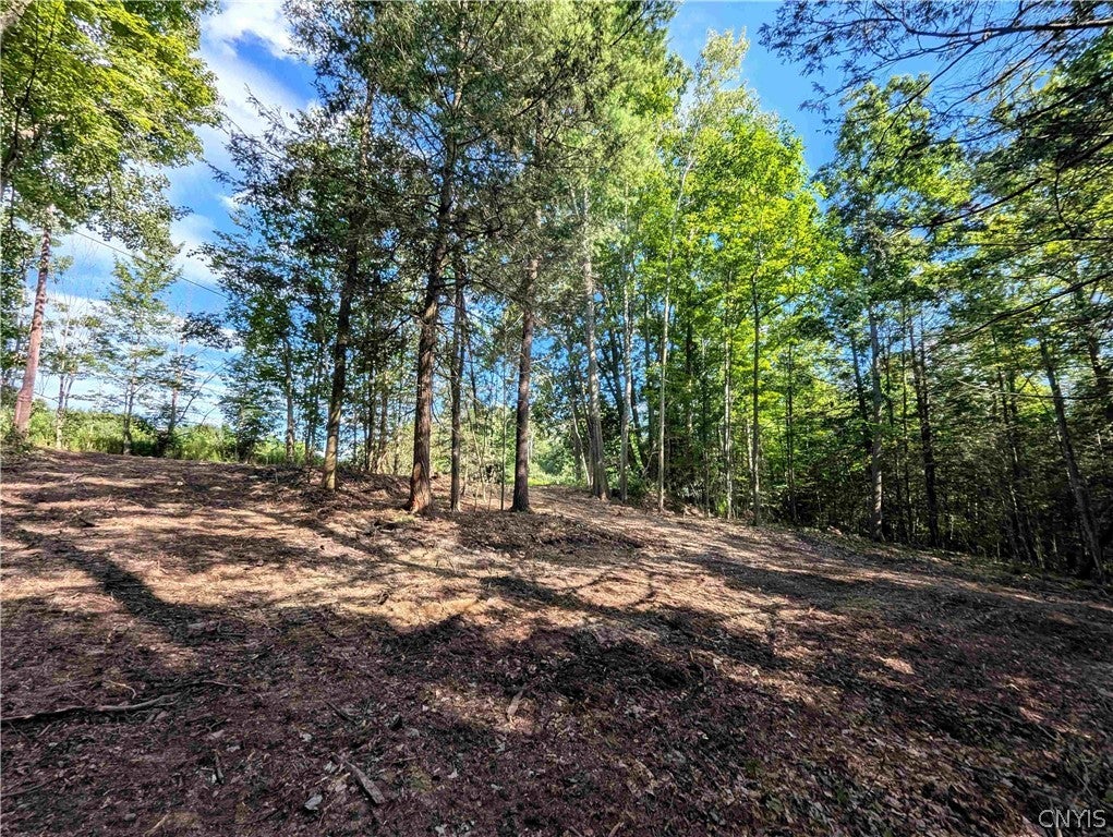 Stewart Road Addison, NY 14801 - Photo 9 of 37 Gallery Image 9