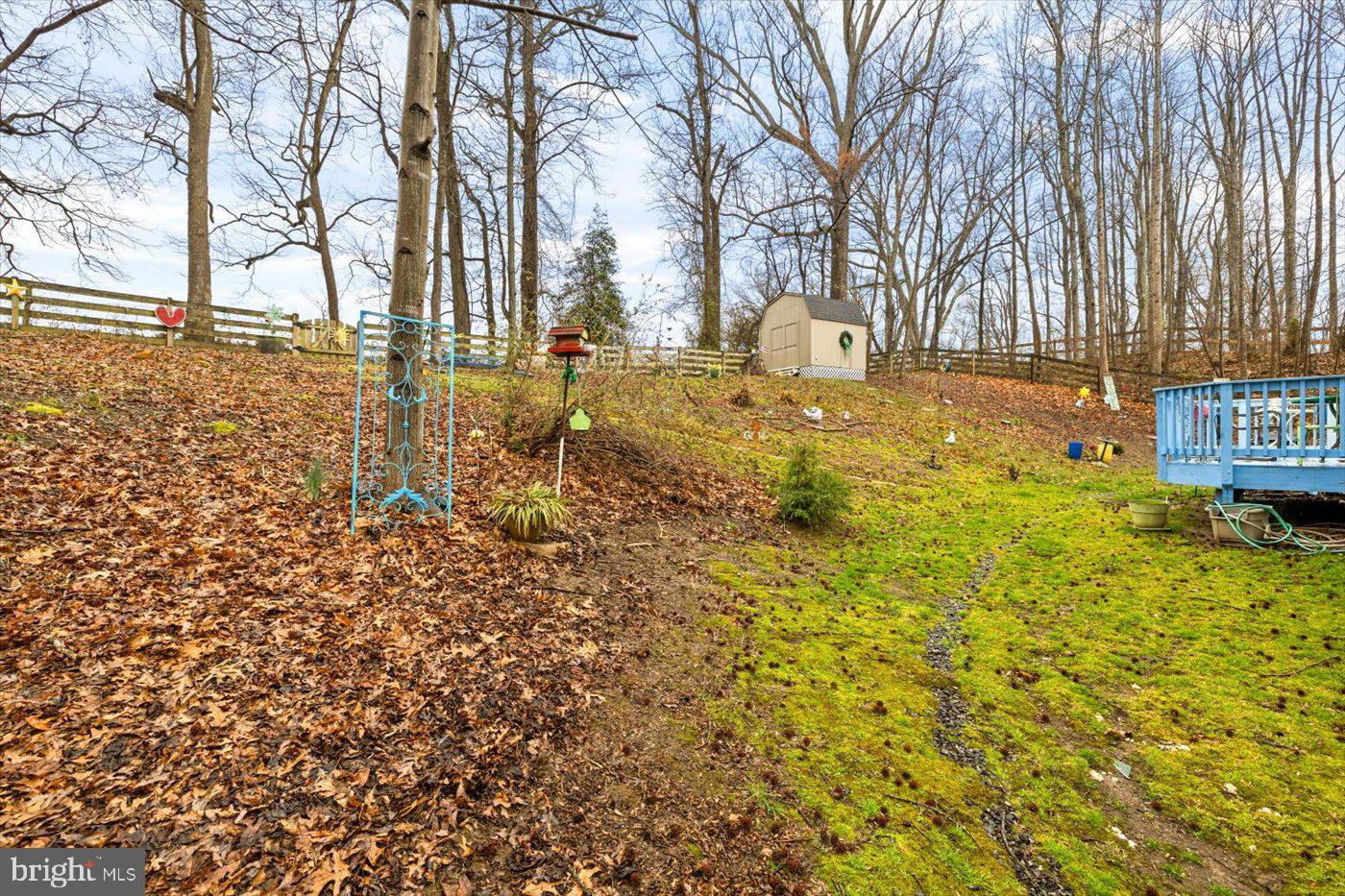 8472 Colfax Drive King George, VA 22485 - Photo 62 of 62 a backyard of a house with large trees