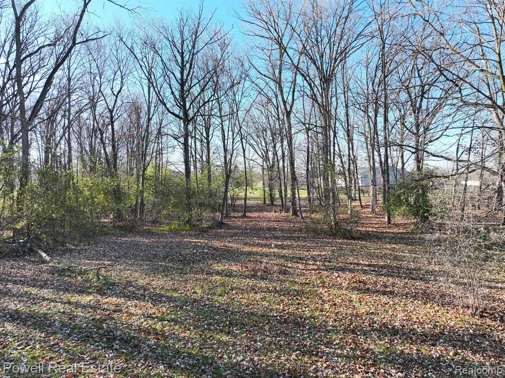 9620 Chubb Road Northville, MI 48167 - Photo 28 of 30