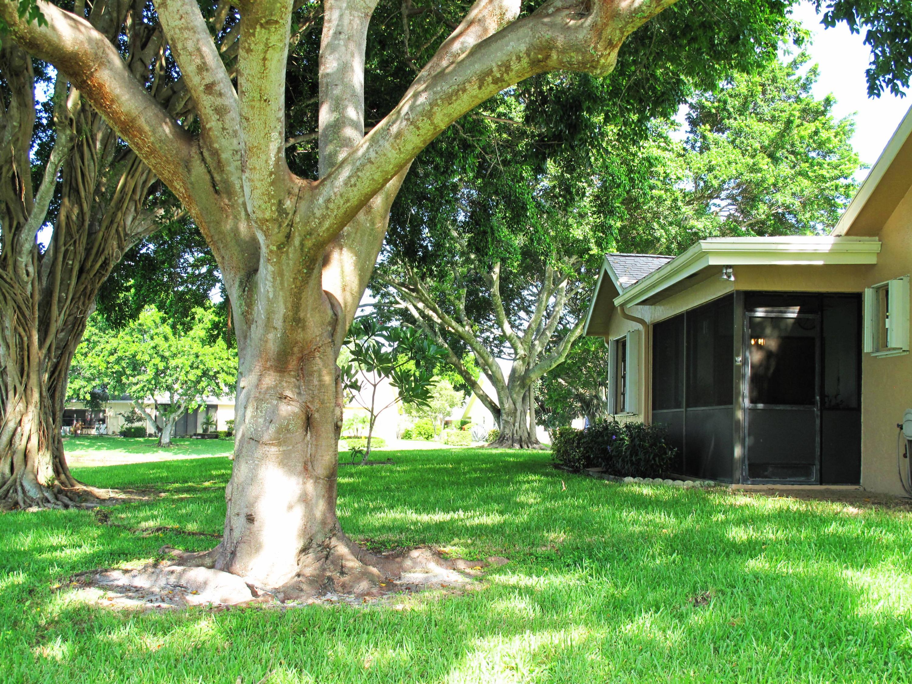 10740 180th Place South Boca Raton, FL 33498 - Photo 29 of 59 Back view of home with large shade tree