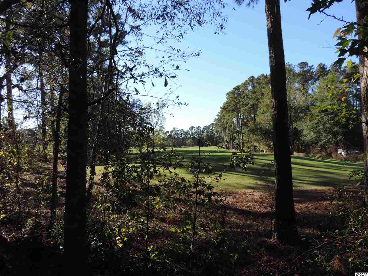 413 Hunley Lane Myrtle Beach, SC 29579 - Photo 11 of 11 Gallery Image 11