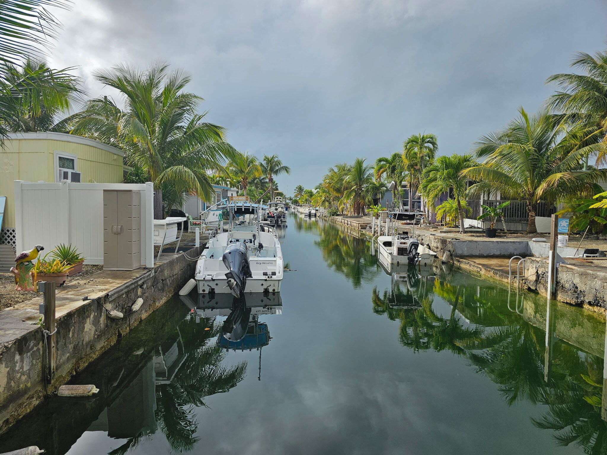 27997 Coral Shores Road Summerland Key, FL 33042 - Photo 1 of 28 a view of a lake with a palm tree