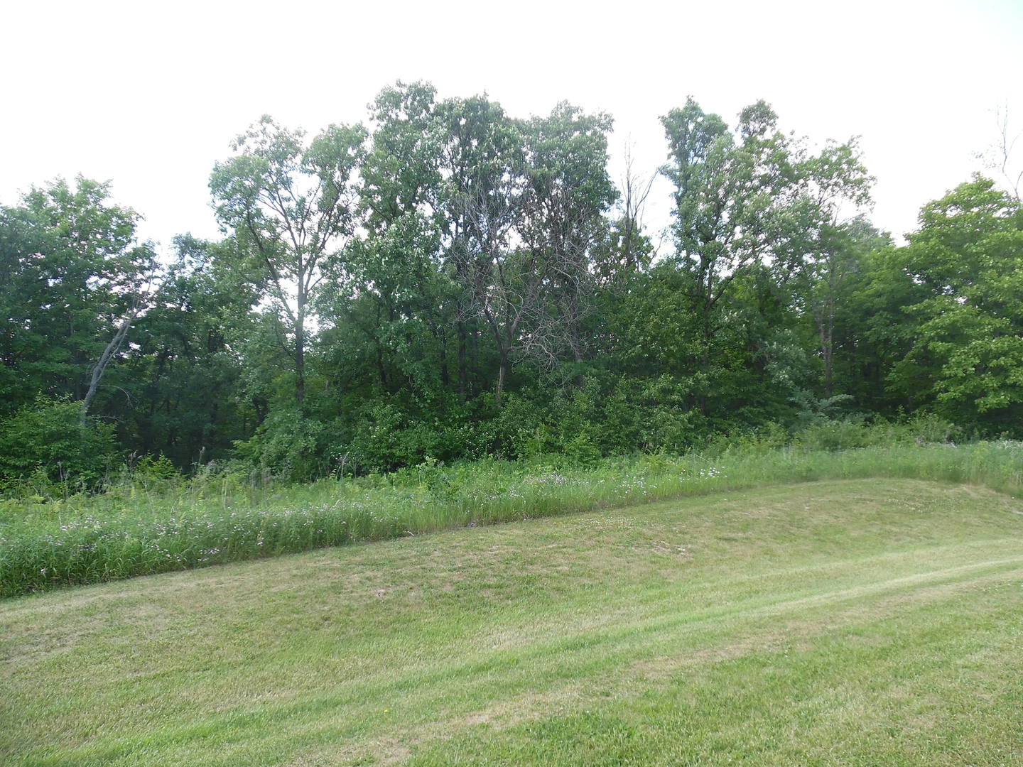 2829 East 2525th Road Marseilles, IL 61341 - Photo 2 of 6
