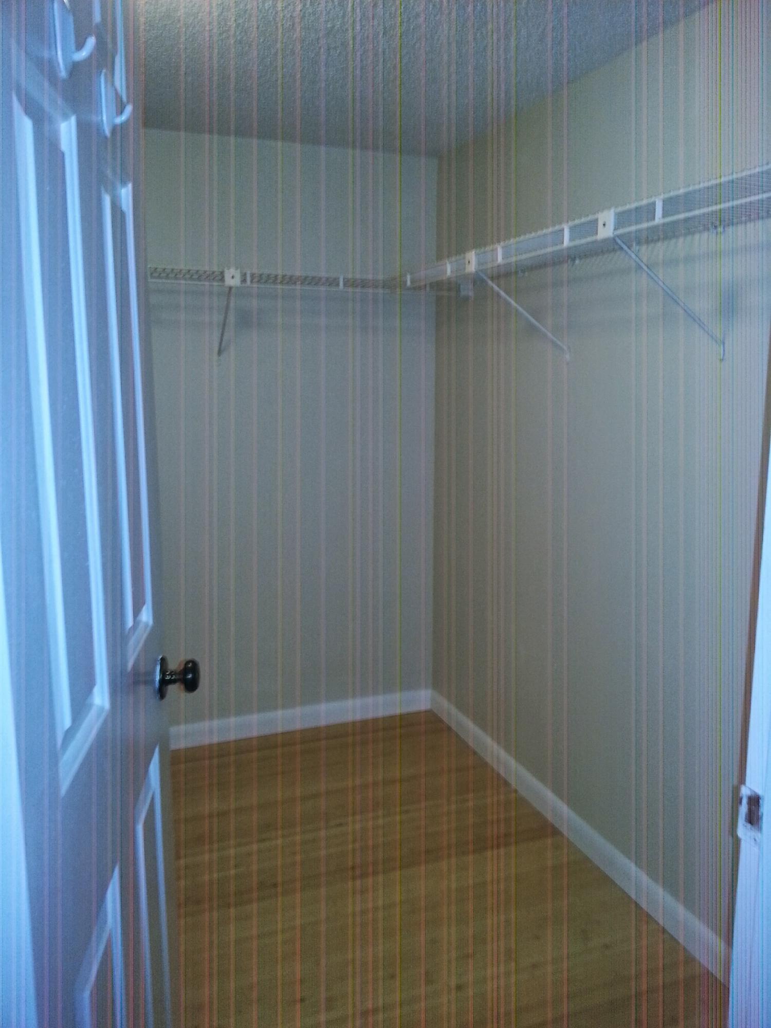 169 Seabreeze Circle Jupiter, FL 33477 - Photo 14 of 25 Master Closet