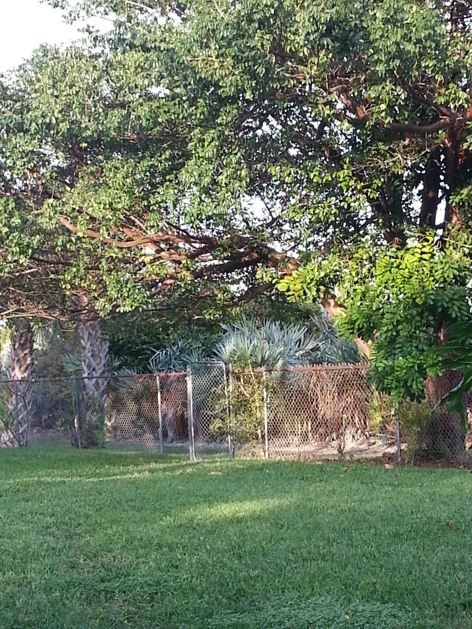 169 Seabreeze Circle Jupiter, FL 33477 - Photo 23 of 25 Entrance to Calin Park