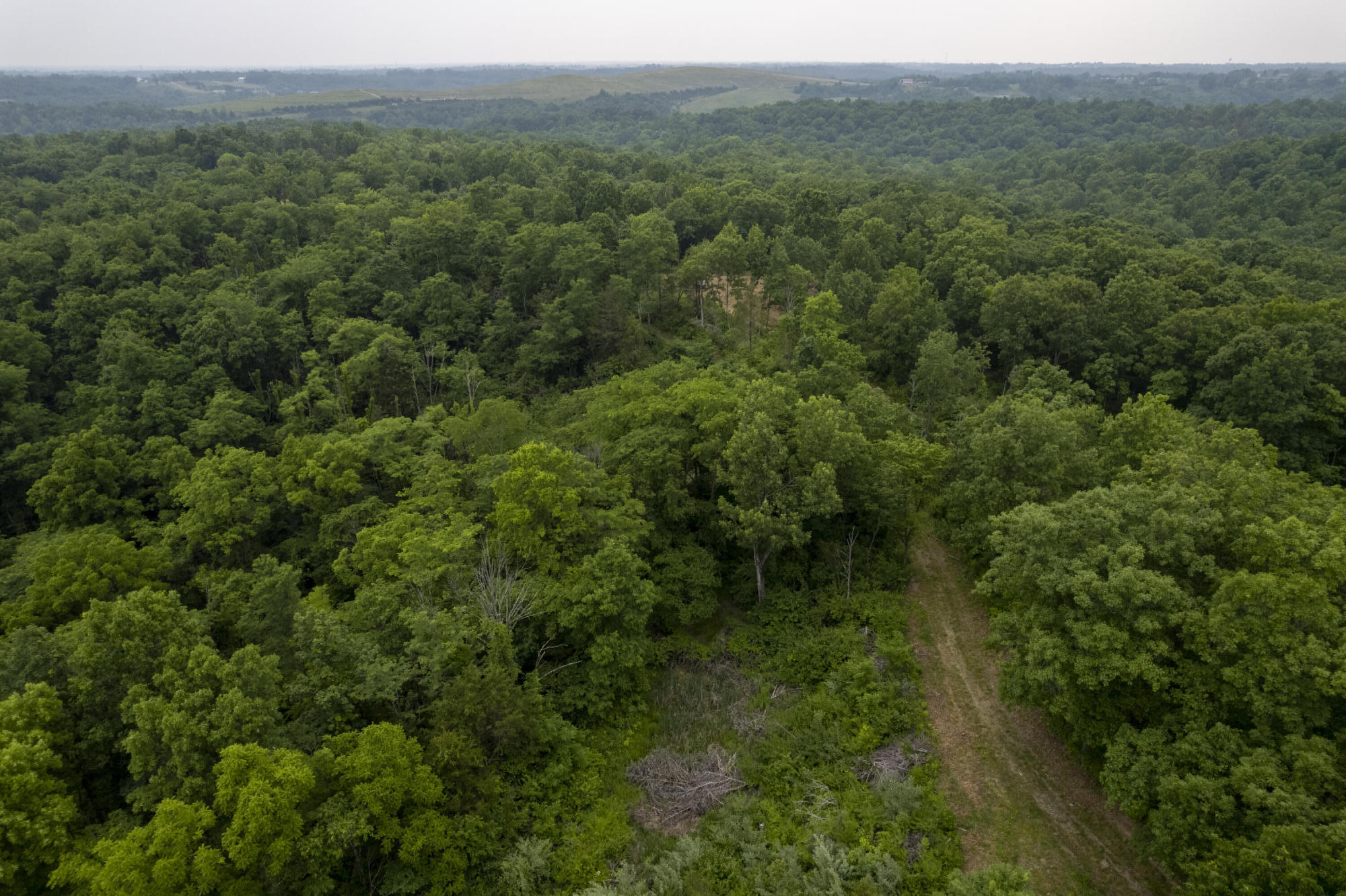 1100 Fairview Road Williamstown, KY 41097 - Photo 10 of 74 Falmouth-1