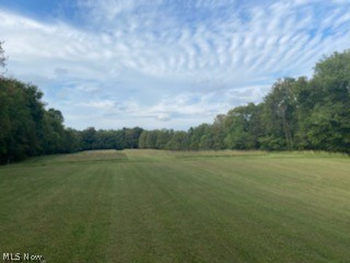 0 Cincinnati Ridge Road Coolville, OH 45723 - Photo 1 of 15 Back Field