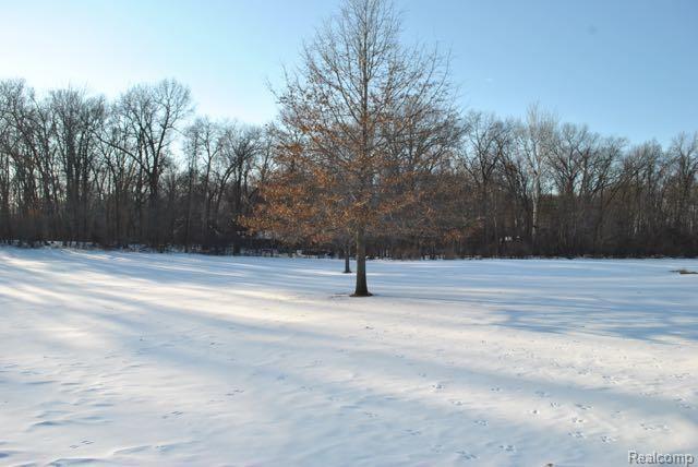 12266 West Dunbar Road Dundee, MI 48131 - Photo 22 of 22 DSC_0827.jpg