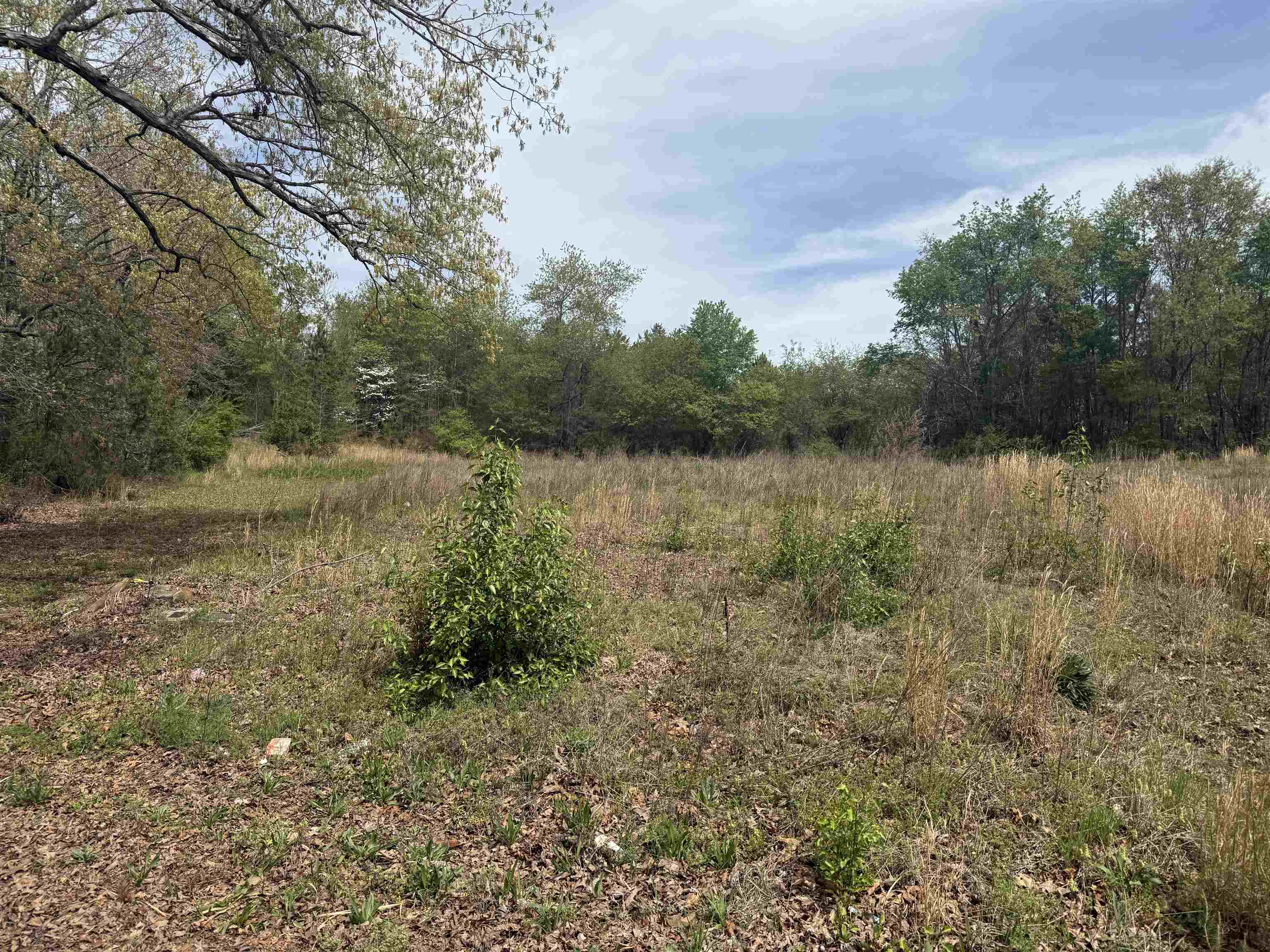 240 Overhead Bridge Road Chesnee, SC 29323 - Photo 3 of 8