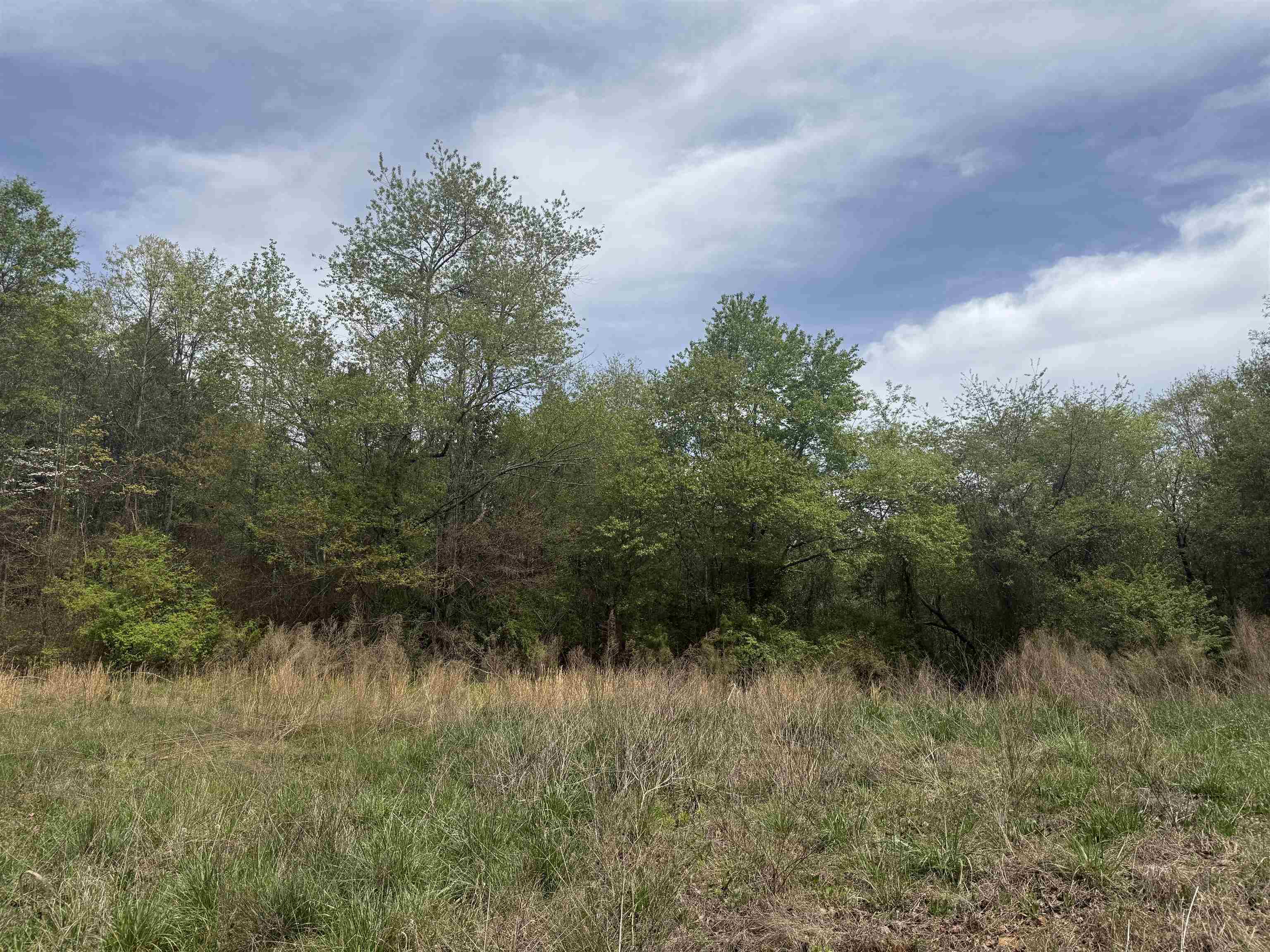 240 Overhead Bridge Road Chesnee, SC 29323 - Photo 5 of 8