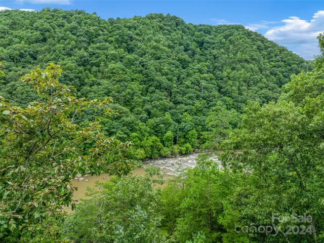 a view of a lush green forest with lots of trees