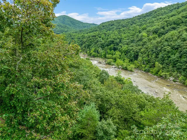 a view of a lush green forest with lots of trees
