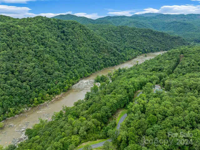 a view of a lush green forest with a mountain in the back