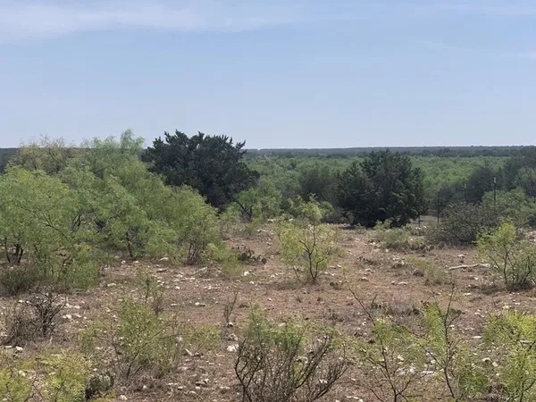 a view of a yard with trees