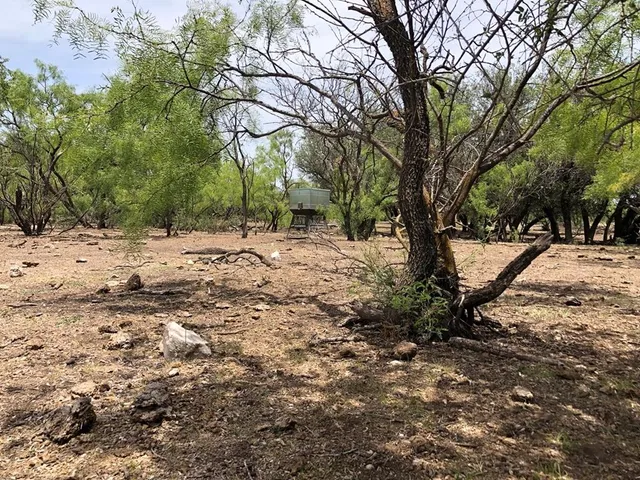 a view of a yard with a house