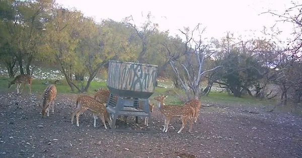 a view of a chair and table on the wooden floor