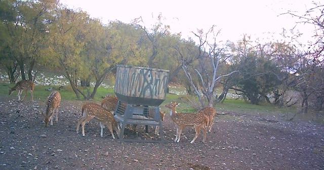 587 Valley Road Christoval, TX 76935 - Photo 15 of 36 a backyard of a house with table and chairs