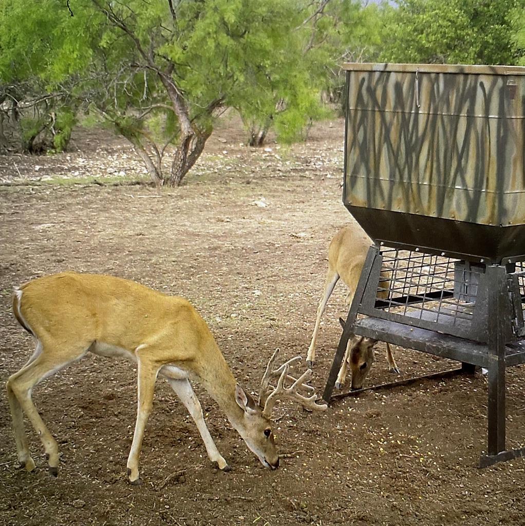 587 Valley Road Christoval, TX 76935 - Photo 16 of 36 a view of a chair and table on the wooden floor